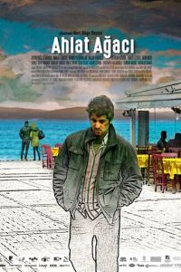 Дикая груша (2018)